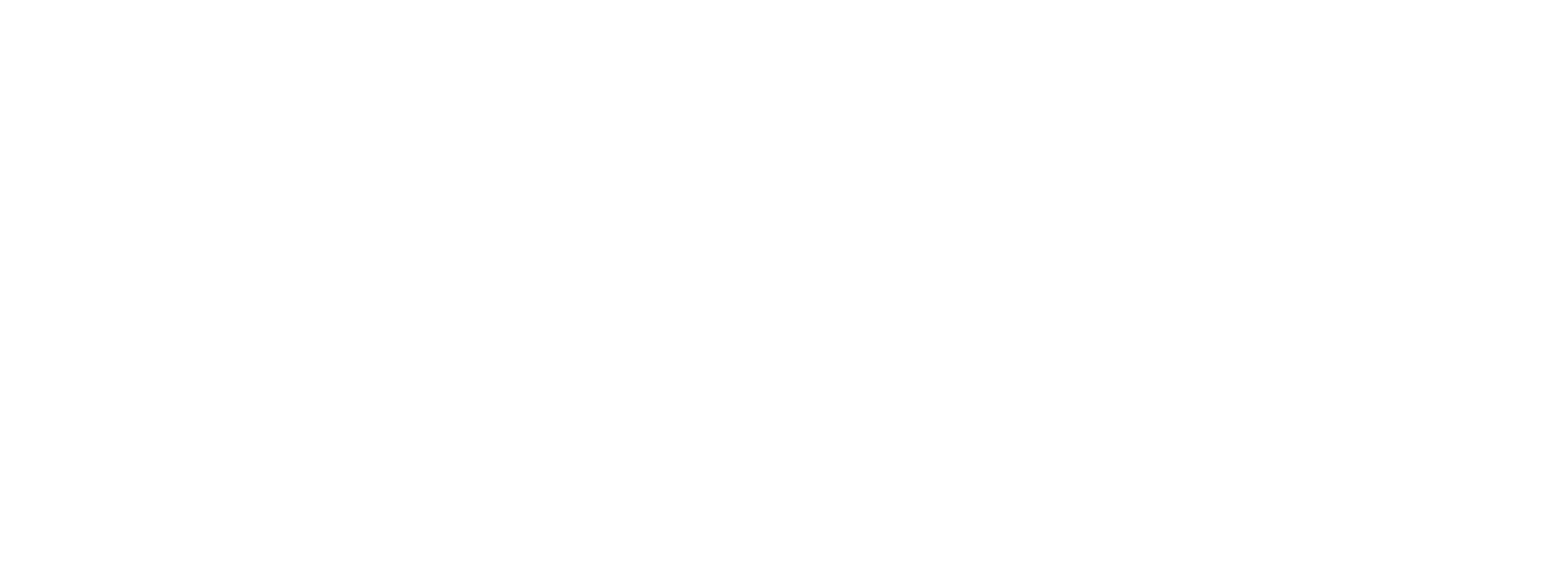Мальчик и птица logo